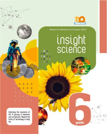 Insight Science 6